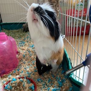 Meet your Posher, Kaitlynn